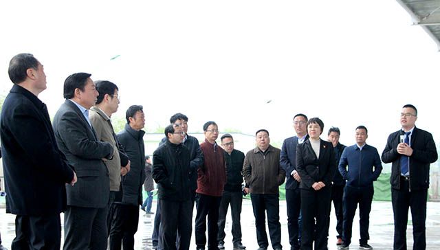 鶴壁市委常委、常務(wù)副市長等領(lǐng)導(dǎo)來岐伯基地視察并指導(dǎo)工作