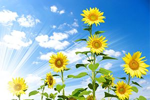 過(guò)去，我們滿(mǎn)懷豪情；未來(lái)，我們?nèi)沃氐肋h(yuǎn)