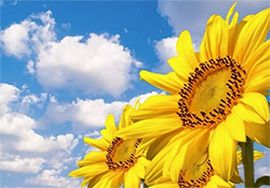 快來看！艾格多集團第一屆攝影大賽優(yōu)秀作品展示來啦