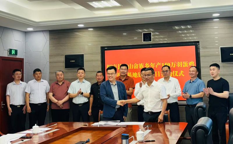 艾格多集團(tuán)桐廬莪山畬族鄉(xiāng)150萬羽蛋雞養(yǎng)殖項(xiàng)目簽約圓 滿完成