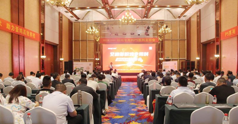 P5發(fā)布會(huì)